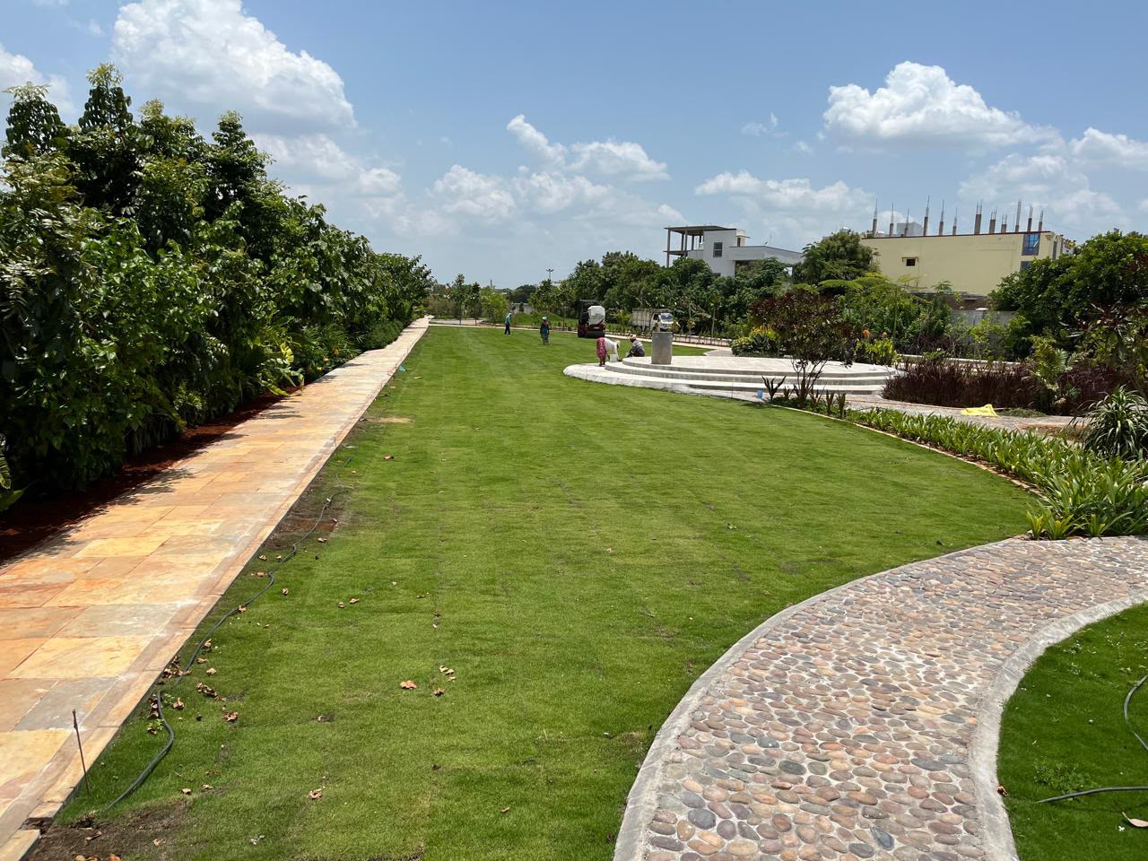 Curved Pathways & Lawns — photo 2